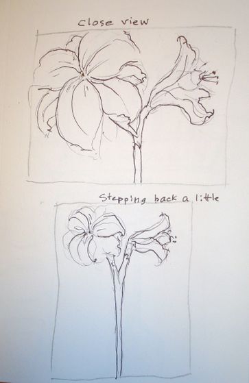 363x559 How To Paint An Amaryllis In Watercolor 10 Steps (With Pictures) - Watercolor Amaryllis