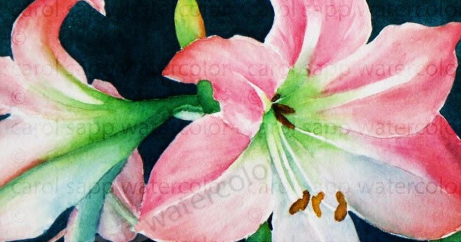 936x492 My Painting Room Pink Amaryllis Watercolor - Watercolor Amaryllis