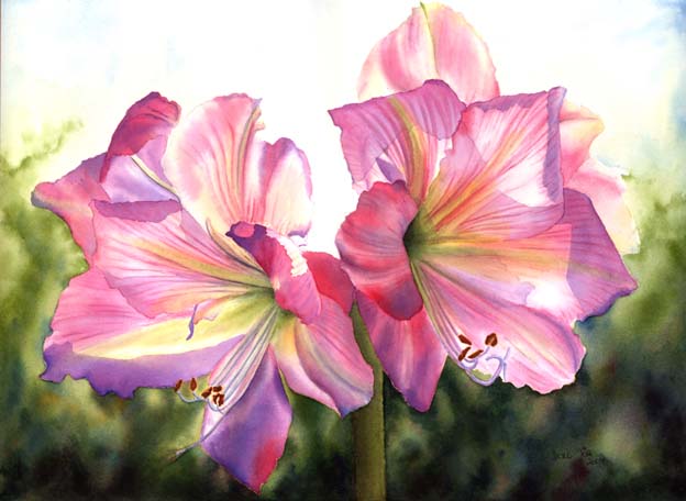 624x456 Pink Amaryllis 1 Watercolor Amp Oil Paintings Of Roses And Flowers - Watercolor Amaryllis
