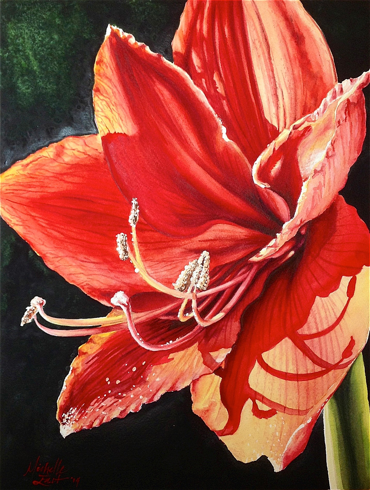 1433x1897 Amaryllis In Sunlight Print - Watercolor Amaryllis
