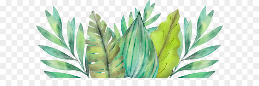 900x300 Leaf Amazon Rainforest Watercolor Painting Arecaceae - Watercolor Amazon