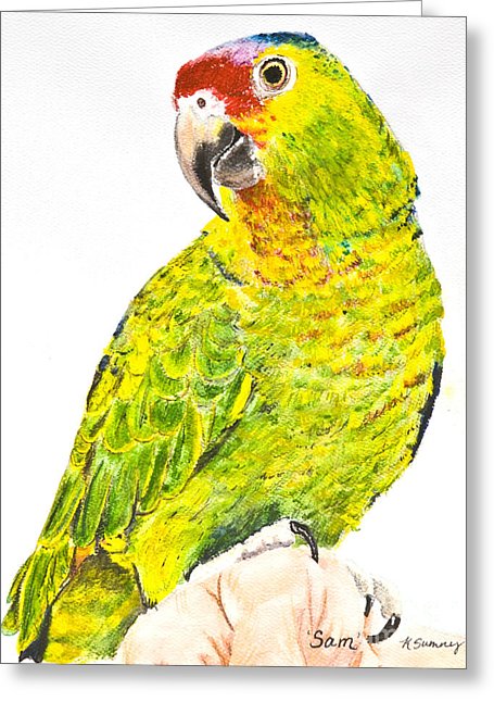 455x646 Red Lored Amazon Parrot In Watercolor Painting By Kate Sumners - Watercolor Amazon