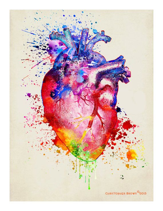570x738 Anatomy Medical Print, Watercolor Heart, 11 X 14,registered - Watercolor Anatomical Heart