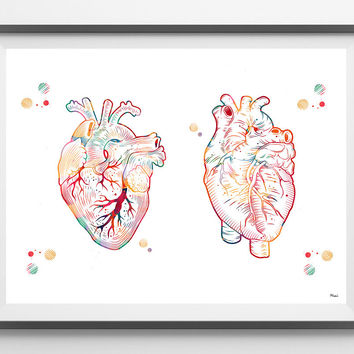 354x354 Best Human Heart Art Products On Wanelo - Watercolor Anatomical Heart