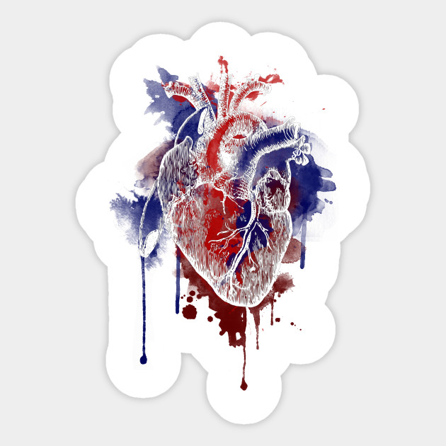 630x630 Digital Anatomical Watercolor Heart (White Version) - Watercolor Anatomical Heart