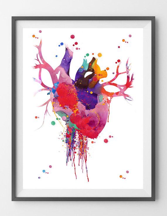 570x735 Heart Anatomy Watercolor Print Abstract Medical Art The Human Etsy - Watercolor Anatomical Heart