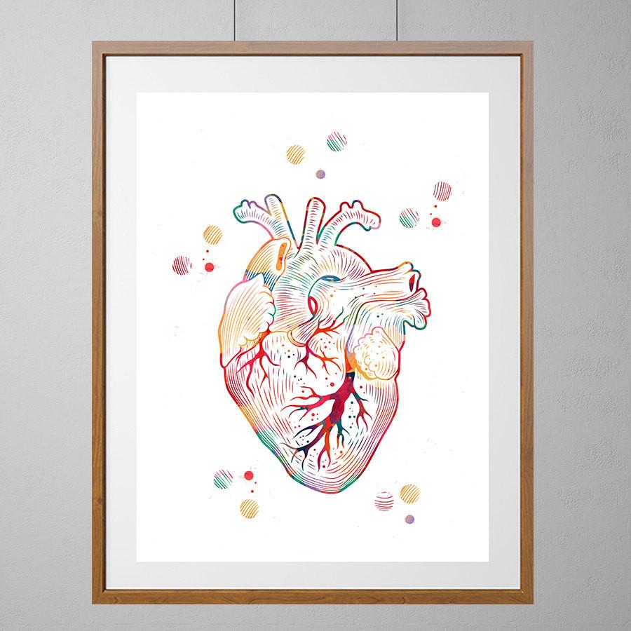 900x900 The Human Heart Watercolor Print Mimiprints - Watercolor Anatomical Heart