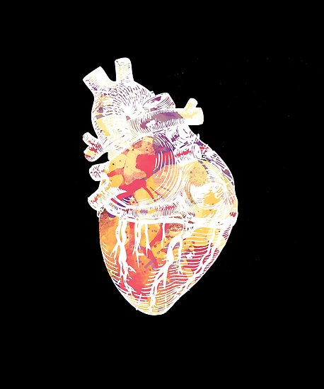458x550 White Watercolor Anatomical Heart Posters By Morgany Redbubble - Watercolor Anatomical Heart
