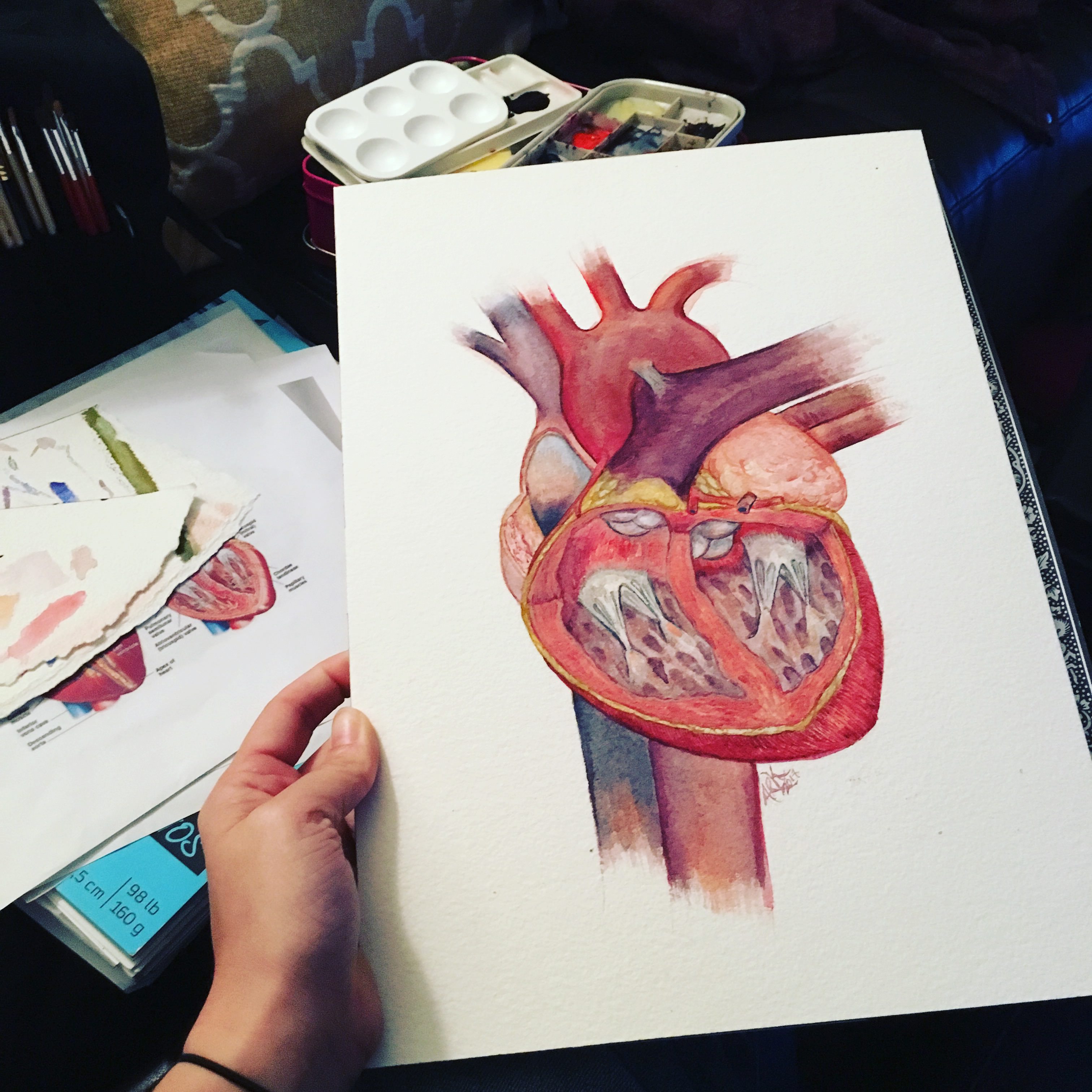 3024x3024 Anatomical Heart Illustration Process - Watercolor Anatomical Heart