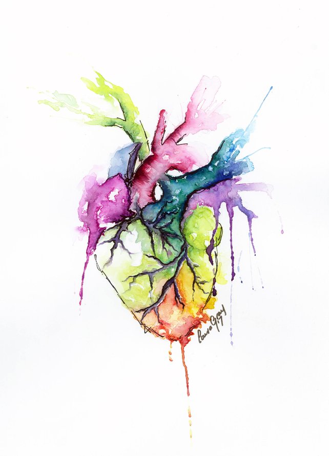 642x890 Anatomical Heart Art Print Watercolor Rainbow Painting Etsy - Watercolor Anatomical Heart