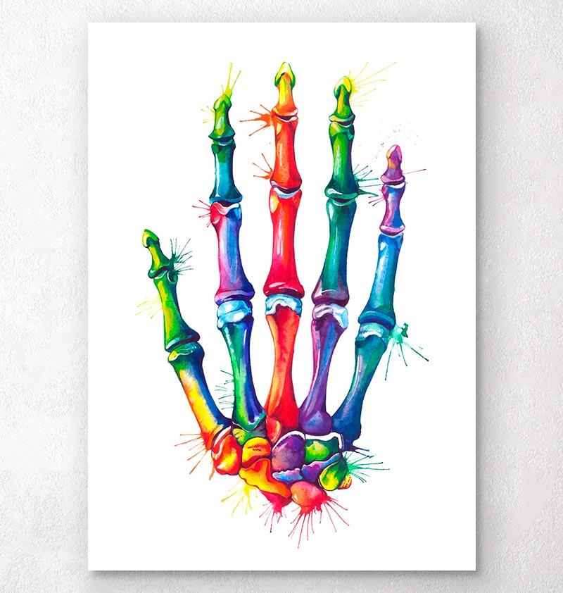 800x842 Hand Anatomy Art - Watercolor Anatomy