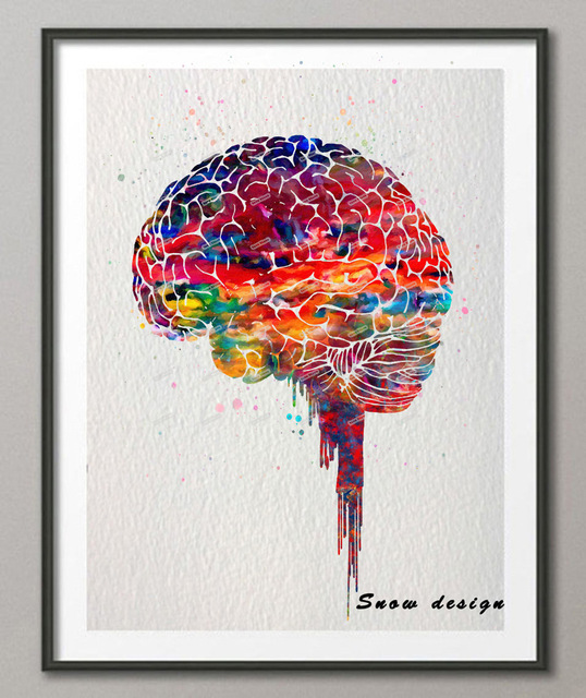 538x640 Buy Original Watercolor Brain Poster Print Canvas - Watercolor Anatomy
