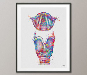 300x260 Larynx Watercolor Print Medical Art Anatomy Art Audiologist Ent - Watercolor Anatomy