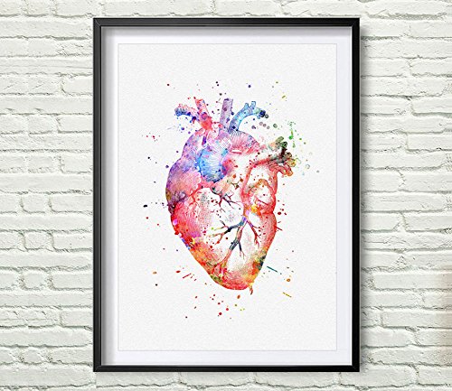 500x433 Watercolor Anatomy Heart Images Vintage Graphics Art - Watercolor Anatomy