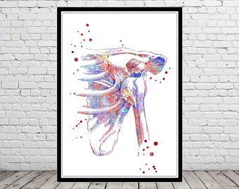 340x270 Anatomy Watercolor Etsy - Watercolor Anatomy