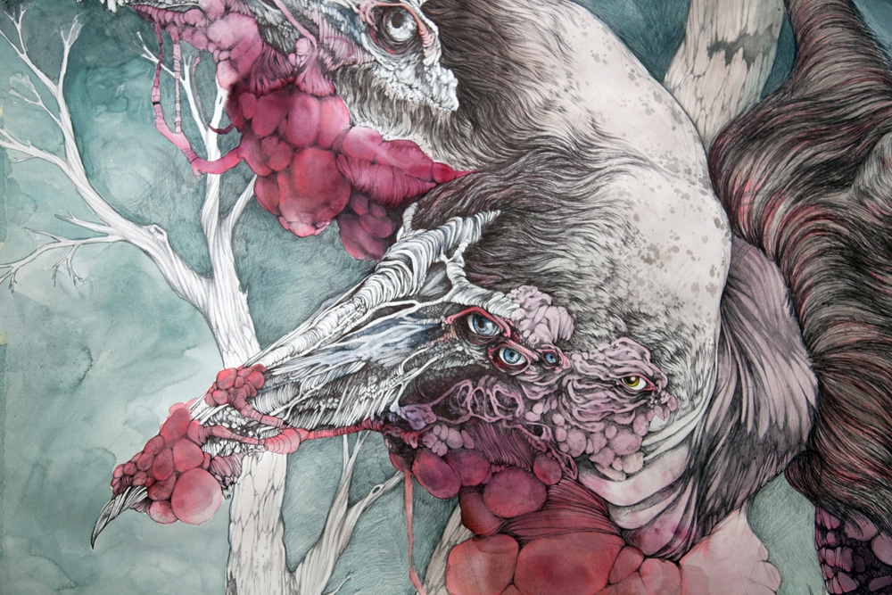 1000x667 Caitlin Hackett Artslant - Watercolor And Colored Pencil