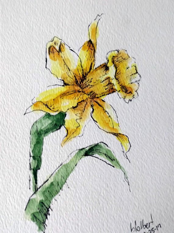 570x760 Gallery Watercolor And Ink Flowers, - Watercolor And Ink Flowers