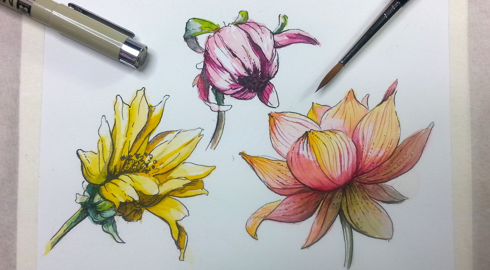 1892x1044 How To Draw Amp Paint Flowers With Ink And Watercolor Part 2 - Watercolor And Ink Flowers