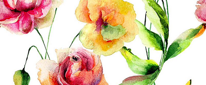 800x333 Ink Watercolor Flowers, Watercolor, Ink, Flowers Background Image - Watercolor And Ink Flowers