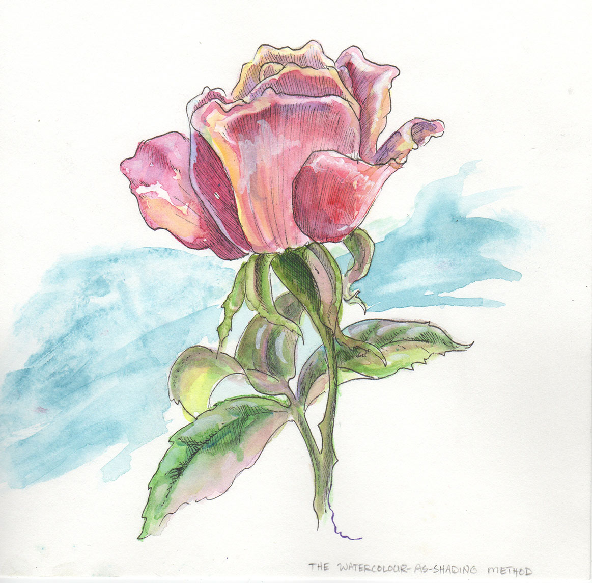 1163x1144 Technique Of The Week Combining Pen Amp Ink And Watercolour - Watercolor And Ink Flowers