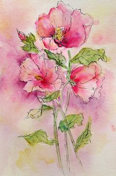 236x358 Watercolor Flower, Kellee Wynne Conrad - Watercolor And Ink Flowers