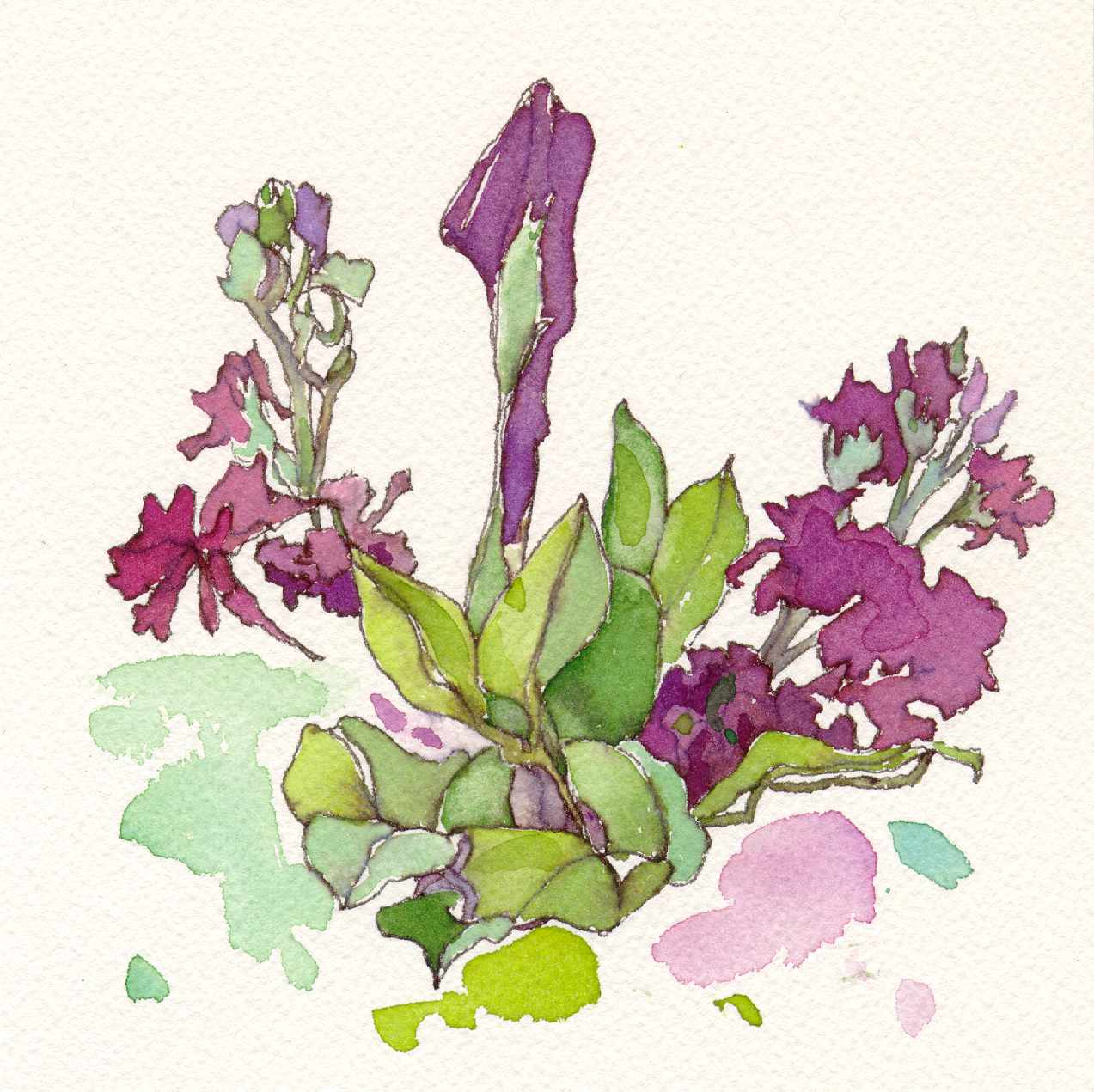 1273x1271 Birthday Flowers Ink Watercolor Chris Carter Artist 031212 Web - Watercolor And Ink Flowers