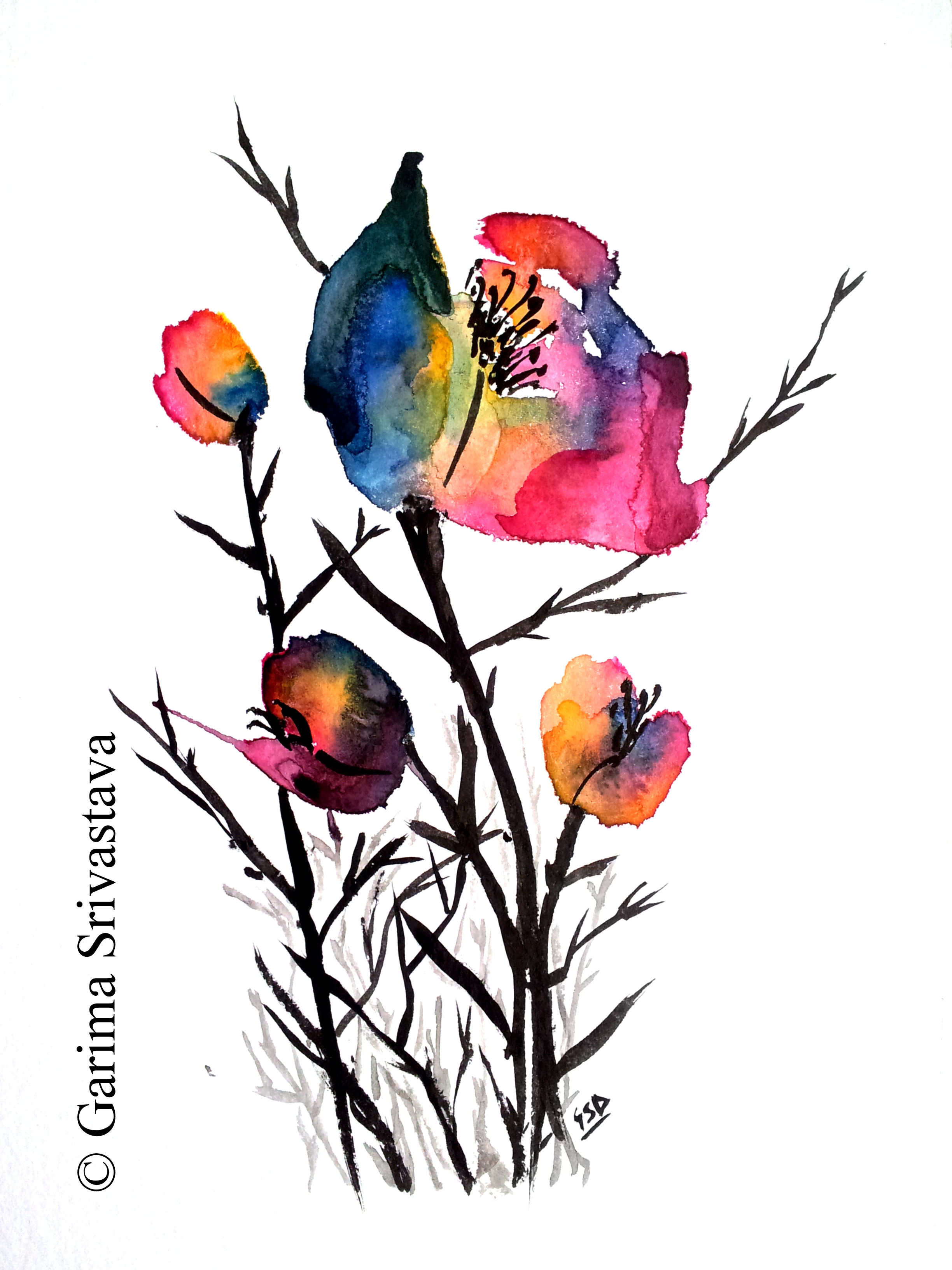 2448x3264 Floral Sequence I Watercolor And Ink Flowers - Watercolor And Ink Flowers