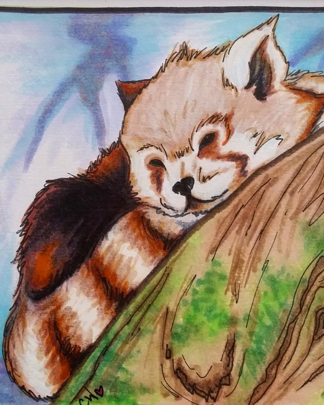 640x800 - Watercolor And Marker