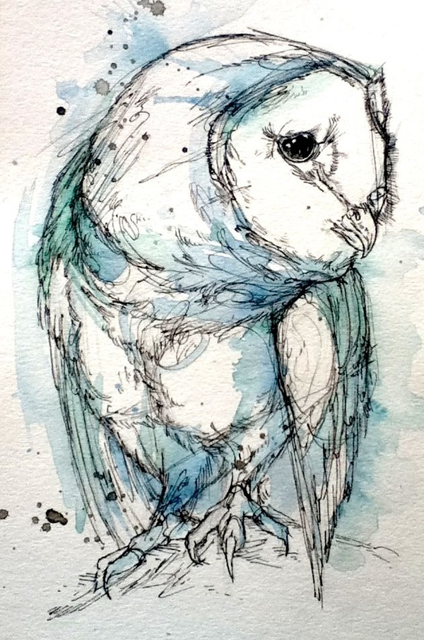 600x905 Turquoise Tyto On Pantone Canvas Gallery - Watercolor And Marker