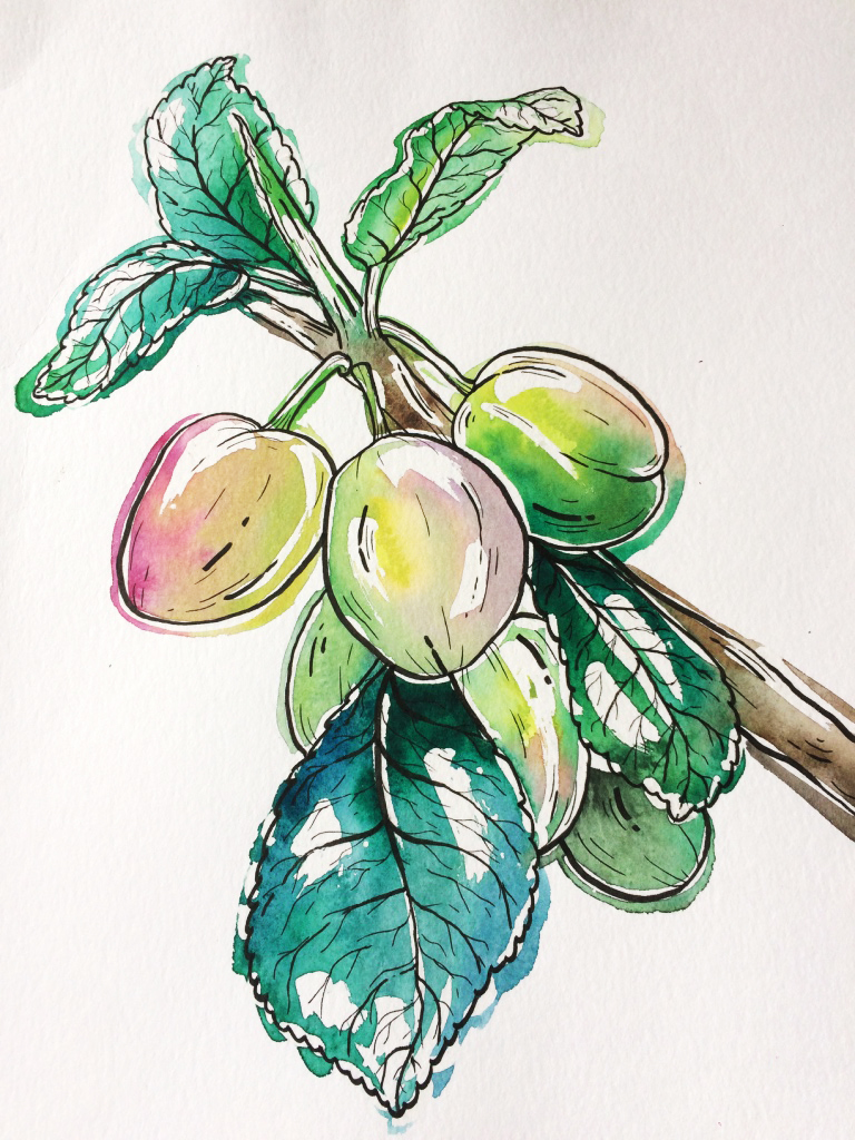 768x1024 Illustrations A.m.p.ellegrini - Watercolor And Marker