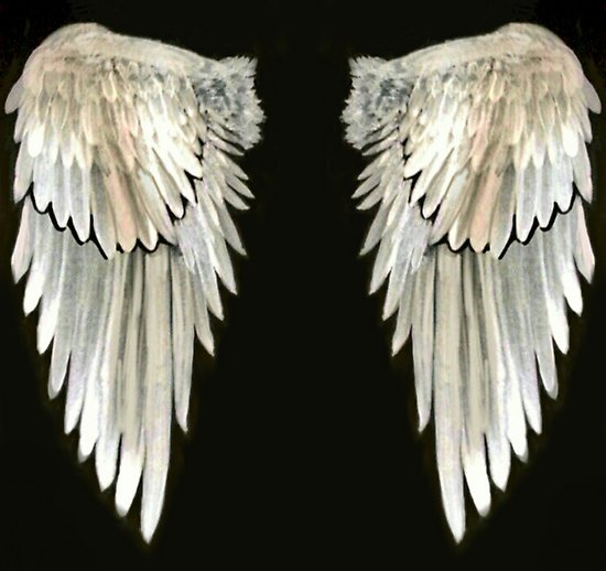 550x518 Angel Wings Real Watercolor Posters By Atlasartsn Redbubble - Watercolor Angel Wings