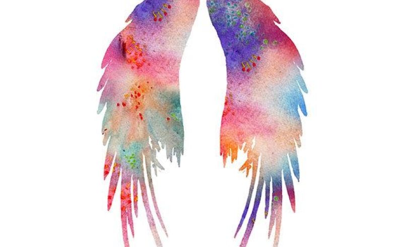 800x491 Painting Watercolor Angel Wings Painting For Home - Watercolor Angel Wings