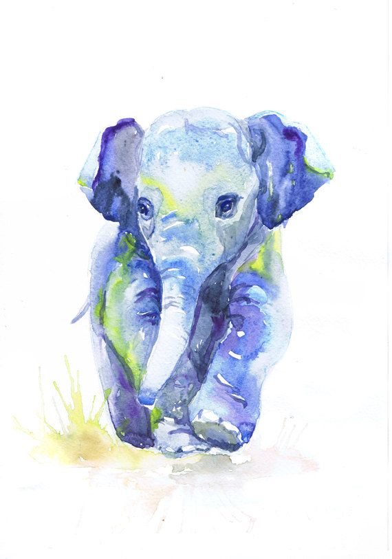 570x813 Baby Elephant Art, Watercolor Painting, Baby Boy Nursery Decor - Watercolor Animal Art