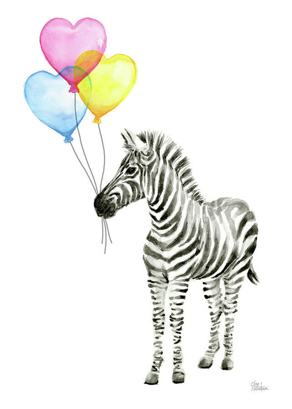 570x799 Baby Zebra Watercolor Animal With Balloons Art Print By Olga Shvartsur - Watercolor Animal Prints
