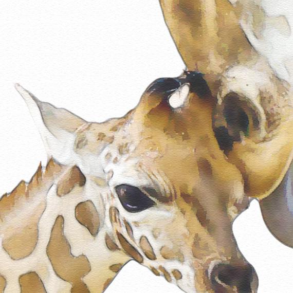 570x570 Giraffe Family Print, Animal Print Nursery Wall Decor, Wall Art - Watercolor Animal Prints