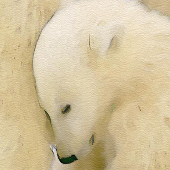 570x570 Polar Bear Family Print, Animal Print Nursery Wall Decor, Wall Art - Watercolor Animal Prints