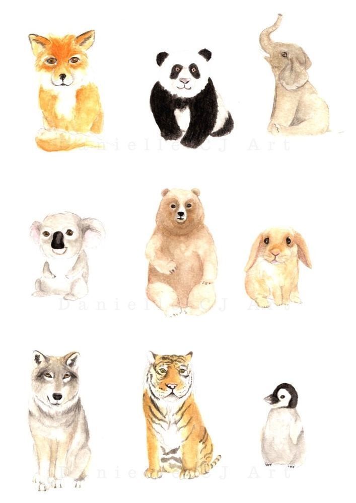 707x1000 Watercolour Animal Friends Print By Danielle Cj Art. Nursery - Watercolor Animal Prints