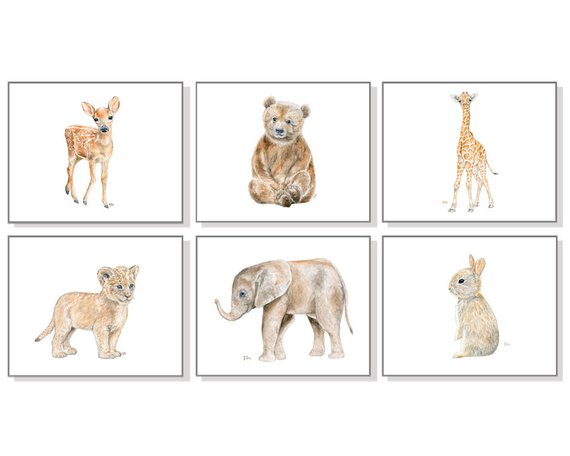 570x456 Animal Nursery Art Baby Animal Nursery Prints Animal Paintings Etsy - Watercolor Animal Prints