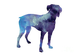 300x213 Boxer Art Print Silhouette Watercolor Painting Painting By Joanna - Watercolor Animal Silhouettes