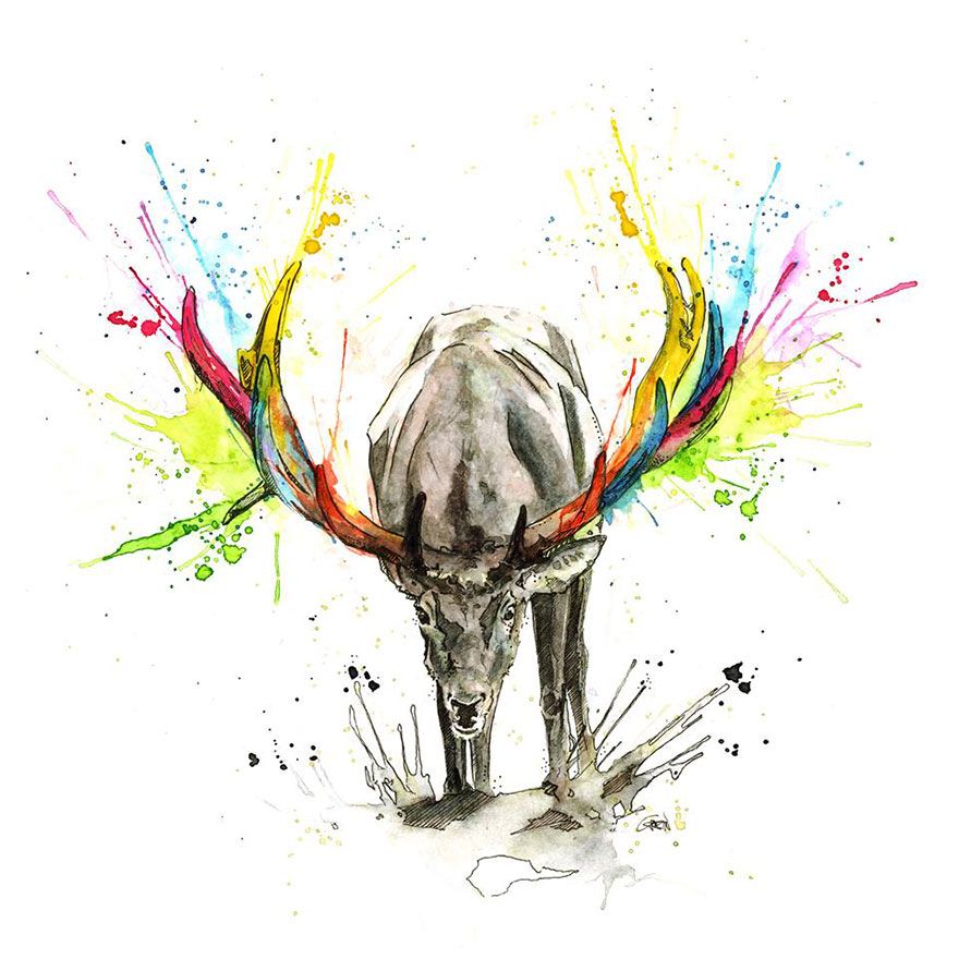 880x880 Quiet Animals In Loud Watercolors Watercolor - Watercolor Animals