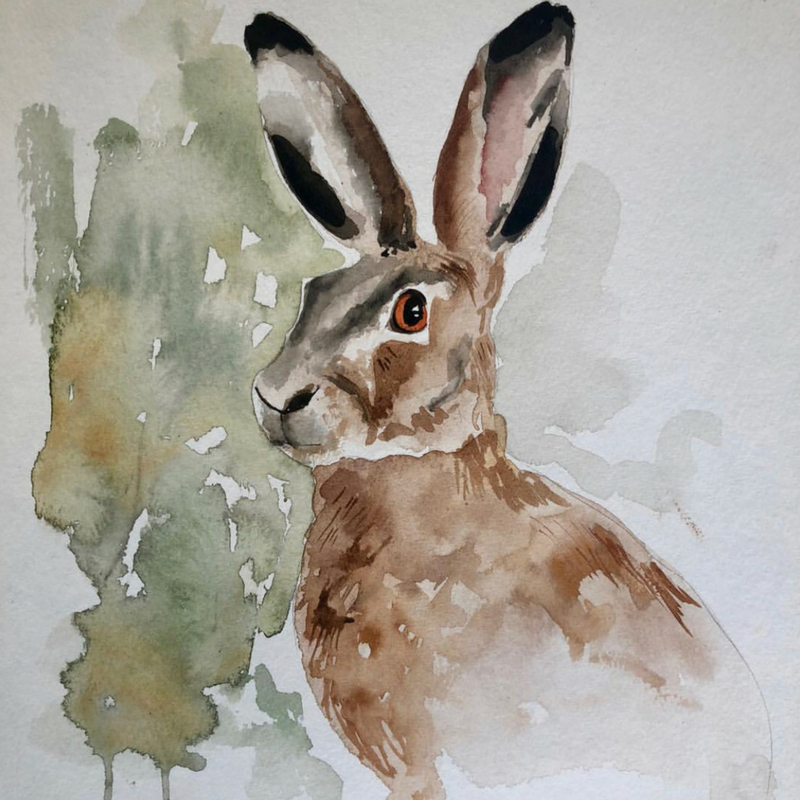 800x800 Realistic Watercolor Animals Whimsodoodle - Watercolor Animals