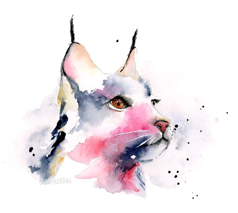 800x716 The Top 10 Best Blogs On Watercolor Animals - Watercolor Animals
