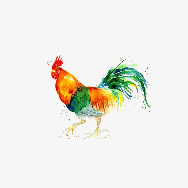 650x651 Watercolor Animals Chicken, Watercolor Clipart, Chicken Clipart - Watercolor Animals