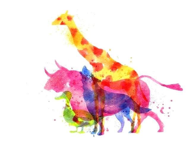 Watercolor Animals Easy at PaintingValley.com | Explore collection of