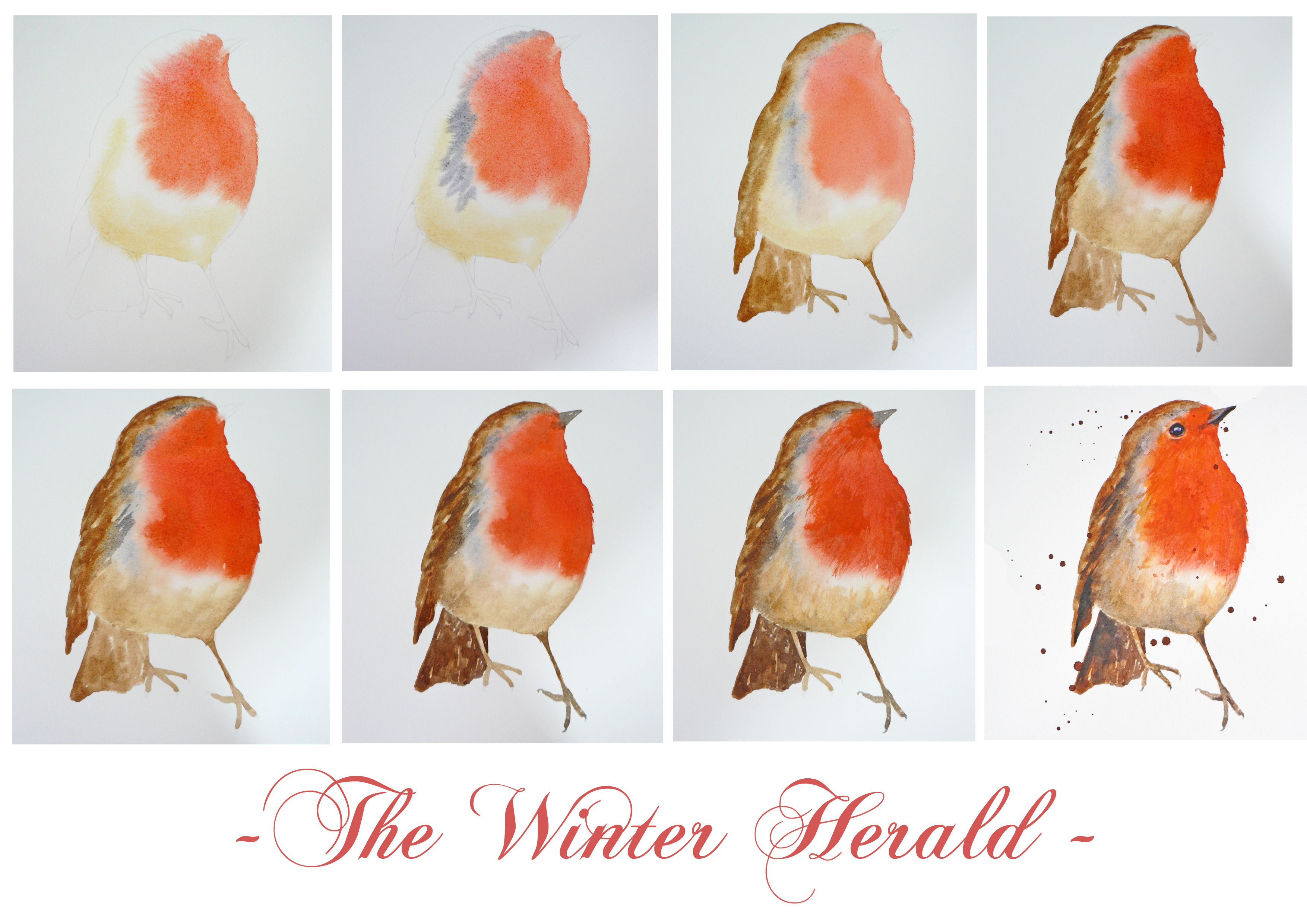 3508x2480 Art Demo How To Paint A Robin In Watercolour Alison Fennell Art - Watercolor Animals Easy