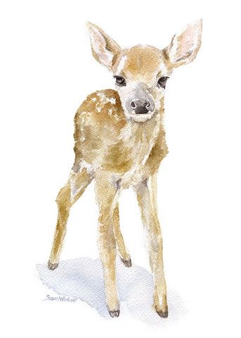 343x480 Deer Fawn 2 Watercolor Art Watercolor - Watercolor Animals Easy