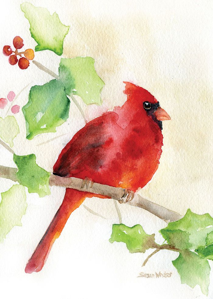 700x980 Cardinal And Holly Watercolor Christmas Card Set Artwatercolor - Watercolor Animals Tutorial