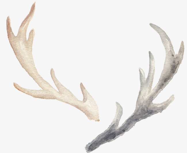 650x535 Hand Painted Watercolor Antlers, Watercolor Clipart, Hand Painted - Watercolor Antlers