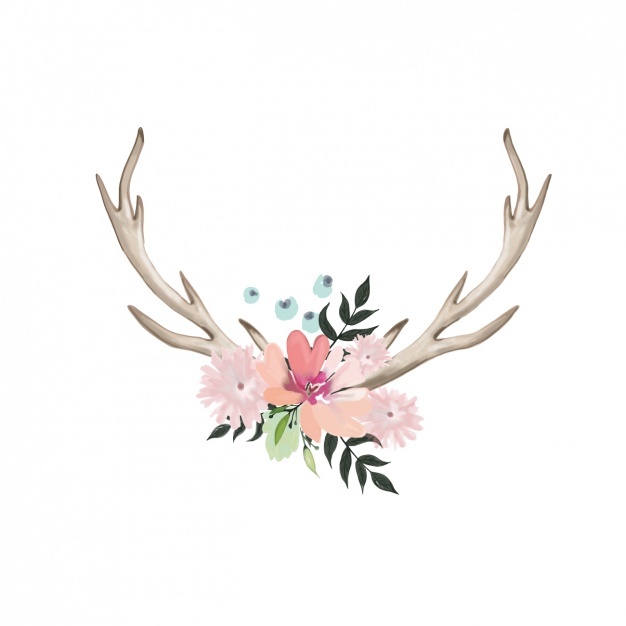 626x626 Horns Vectors, Photos And Psd Files Free Download - Watercolor Antlers