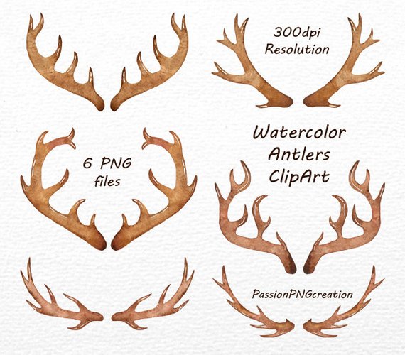 570x500 Watercolor Antlers Clipart 6 Png Files Antler Clip Art Etsy - Watercolor Antlers